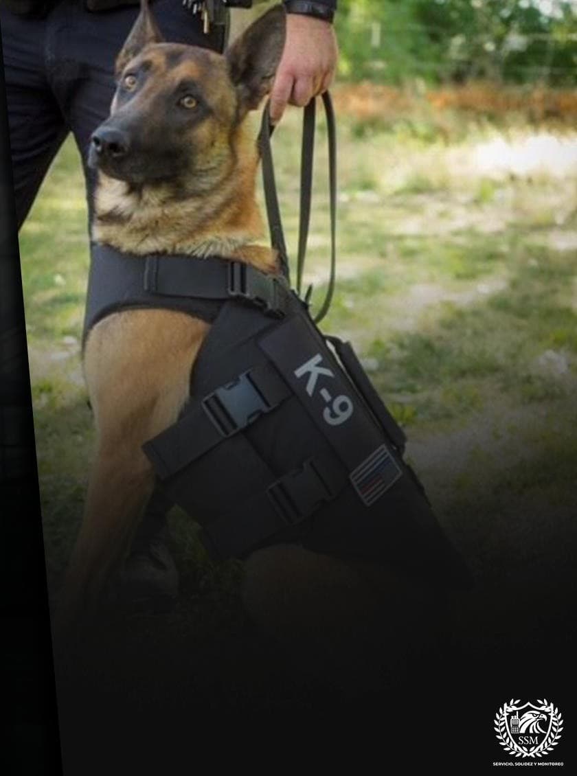 Unidad canina K-9 SSM